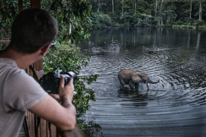 WCS Republic of Congo