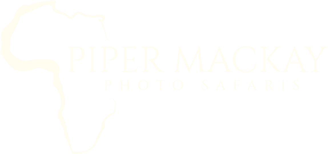 Piper Mackay Photography