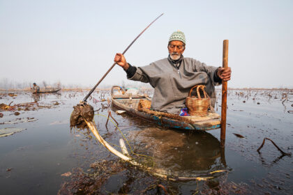 Portrait of a Kashmiri Man Collecting Lotus Stems