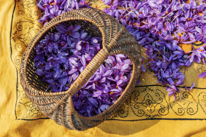 Traditional Kashmiri Basket used to Harvest Saffron Crocuses