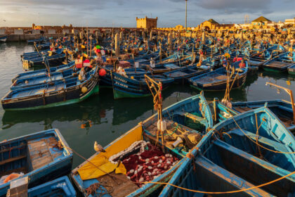 Fishing Boats in the Port of Essaouira at Sunset