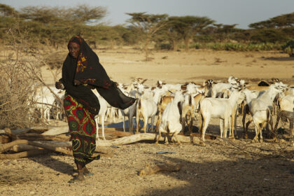 Gabra-Tribe-Women-BV2U3880