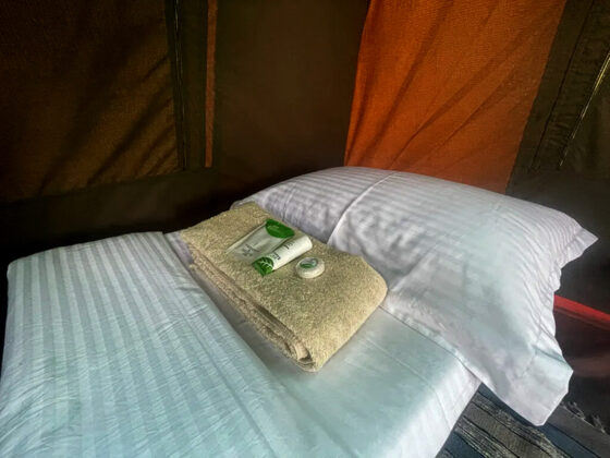 Duncan-Mobile-Bed-IMG_8756-1024x768.jpg