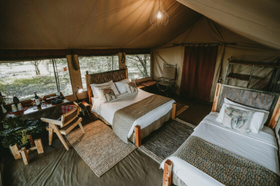 Olapa_Camp_Twin_tent
