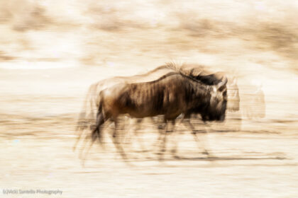 The Endless Journey