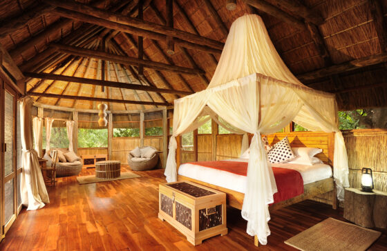 Copyright Patrick Bentley 2008