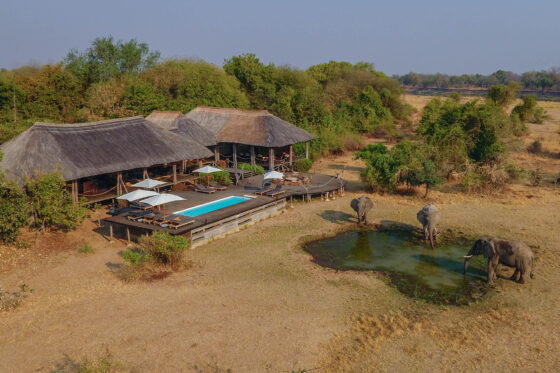 Chikunto - main camp & waterhole visitors