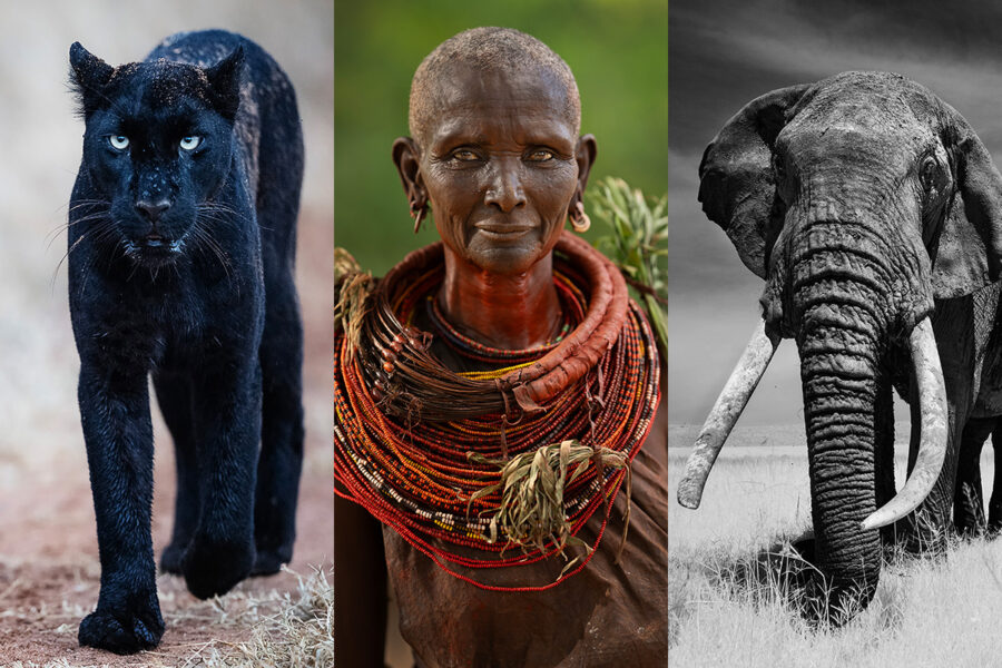 VOICES AND LEGENDS 2027