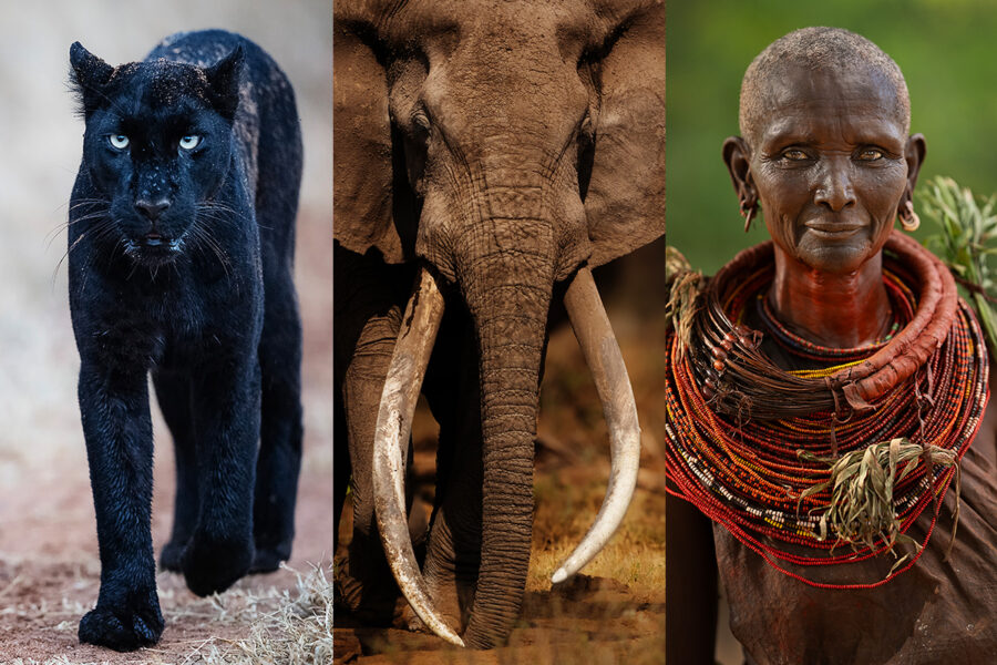 VOICES AND LEGENDS 2027