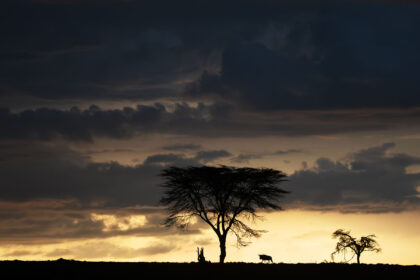 Dramatic-Sky-Wildebeest-DSC_7527