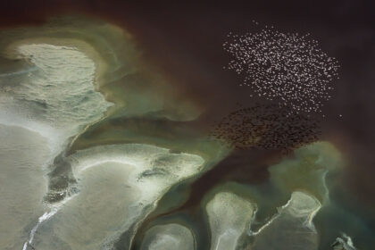 Magadi-Helicopter-PSM_9124