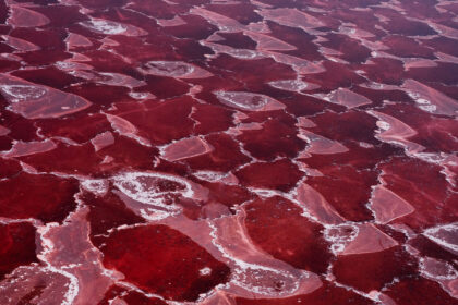 Magadi-helicopeter-DSC_5773