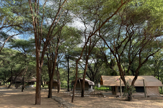 Camp-Ndoto-4X6-IMG_5396