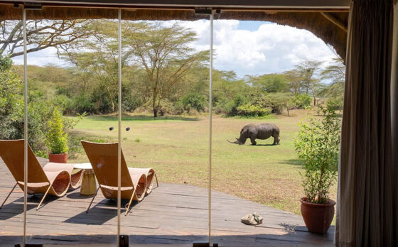 Camp-solio-lodge-room-rhino-1