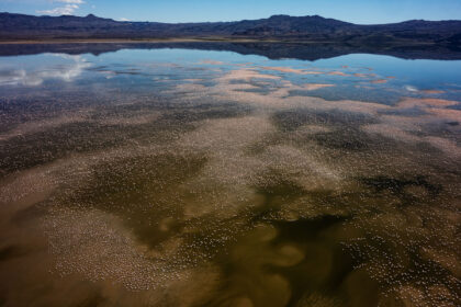 Helicopter-Flamingos-Northern-Kenya-DSC_0105
