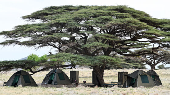 Mobile-Expedition-Camp-Kenya-DSC_8783