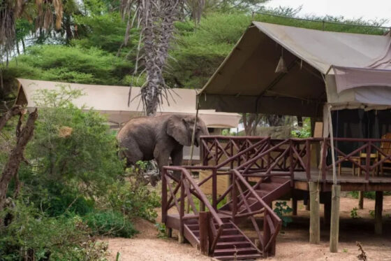 Camp-Intrepids-tent