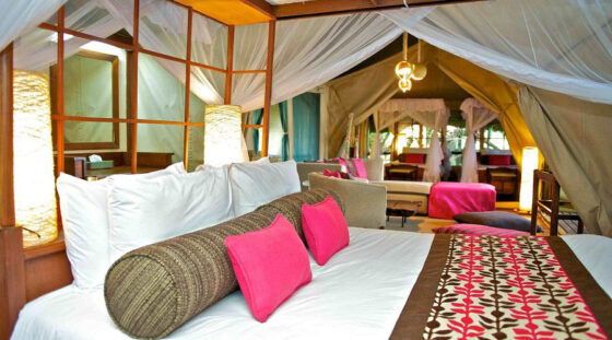 Camp-intrepids-luxury