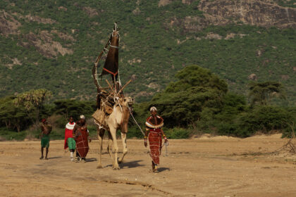 Rendilie-Camel-Ndoto-PSM_6756