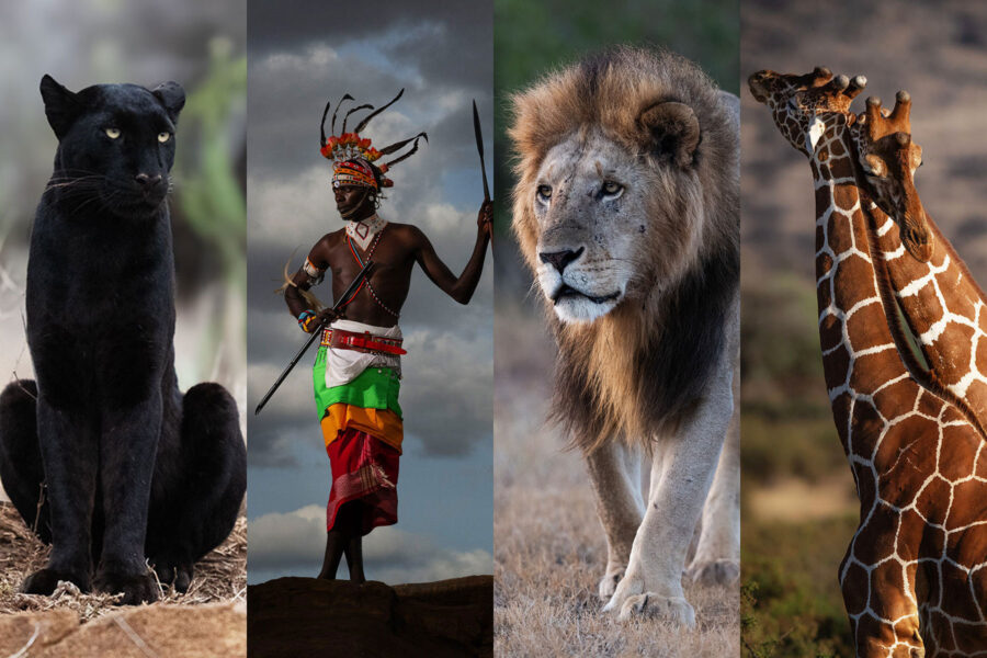 WILD KENYA 2028