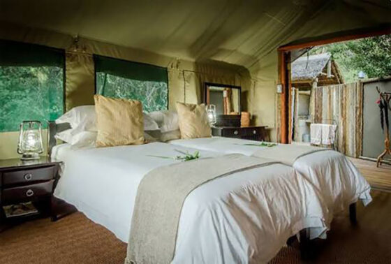 Camp-Mashatu-Tent-2